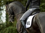 Equestic SaddleClip & Equine training App